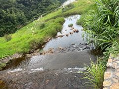 -广州市石门国家森林公园