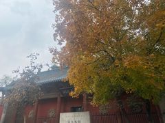 -窦大夫祠