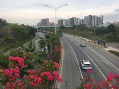 -宝安西湾红树林湿地公园