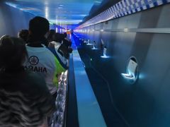-白鹤梁水下博物馆