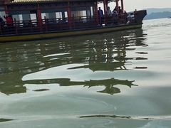 -西湖游船