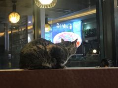 -螺大蛳柳州螺蛳粉·火锅·热干面(西城永捷店)