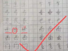 -赵汝飞练字硬笔书法(长寿路校区)
