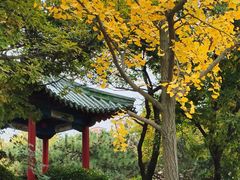 -八大关景区