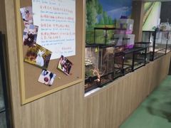-藦茜花园宠物主题亲子互动体验馆(国顺东路店)
