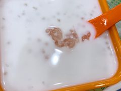 椰汁西米鲜奶桃胶-顺记冰室(宝华路店)