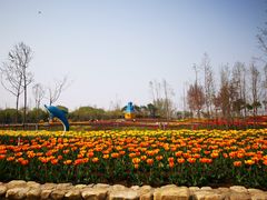 -兰陵国家农业公园