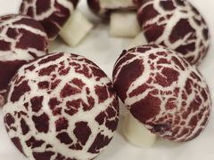 -横沥牛庄(总店)