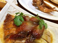 -金穗园·砂锅粥.醉鸡煲火锅(长寿路店)