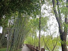-望江楼公园