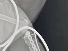 -邢大夫动物医院