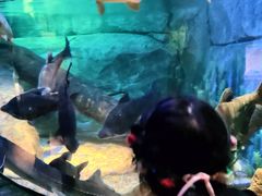 -沈阳海洋探索中心