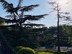 -莲花池公园