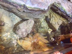 -凯莉-塔尔敦海洋生物水族馆
