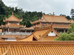 -深圳仙湖植物园