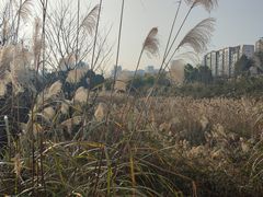 -观山湖公园