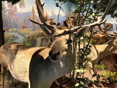 -陕西自然博物馆