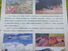 -野象谷景区