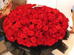 -万达广场(南宁青秀店)