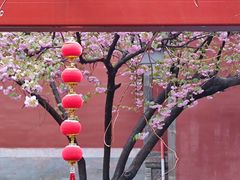 -北京艺术博物馆(万寿寺)