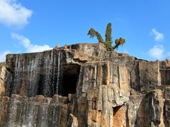 -海南热带野生动植物园