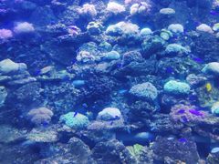 -锦艺城海洋馆