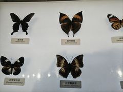 -中国湿地博物馆
