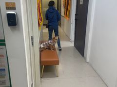 -爱妮康宠物医院·干细胞免疫细胞·肿瘤·心脏(张江店)