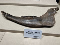 -大连金州博物馆