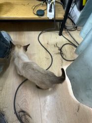 -二重奏·造型工作室