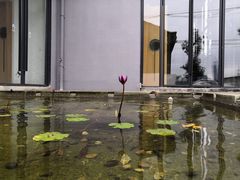-禅蕴素食生活馆