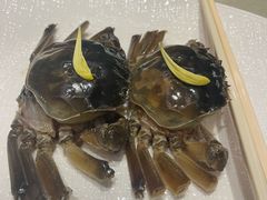 -王宝和酒家(黄浦店)