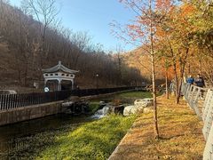 -白水寺森林公园