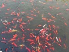 -大悲禅寺