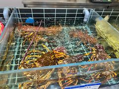 -宁海食府·涌宴(真和店)