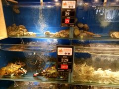 -苏大嘴海鲜牧场(奥林匹克店)