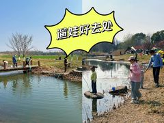 -长田漾湿地公园