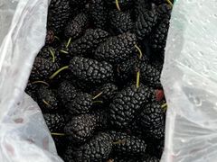 -三旗百汇商品城