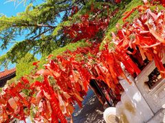 -龙口南山旅游景区