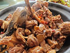 -柘林湖生态鱼馆