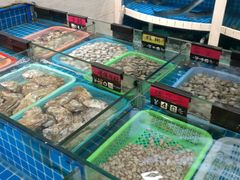 菜单-闽鲜森霞浦海鲜城