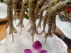 -尚海豆捞(乐虹坊店)