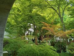 -狼山风景名胜区