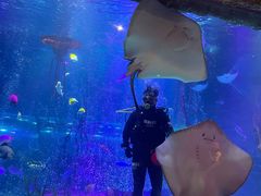 -沈阳海洋探索中心