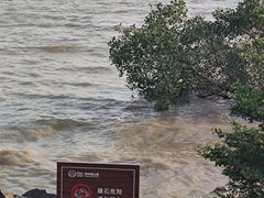 -深圳湾公园(南山区)