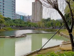-四海公园(南山区)