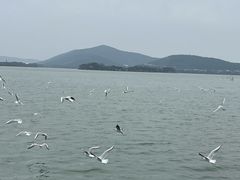 -蠡湖大桥公园
