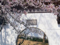 -苏州上方山国家森林公园