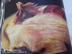 -麦园农庄·西江河鲜