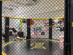 -FLARE STAR FITNESS(复地活力城店)